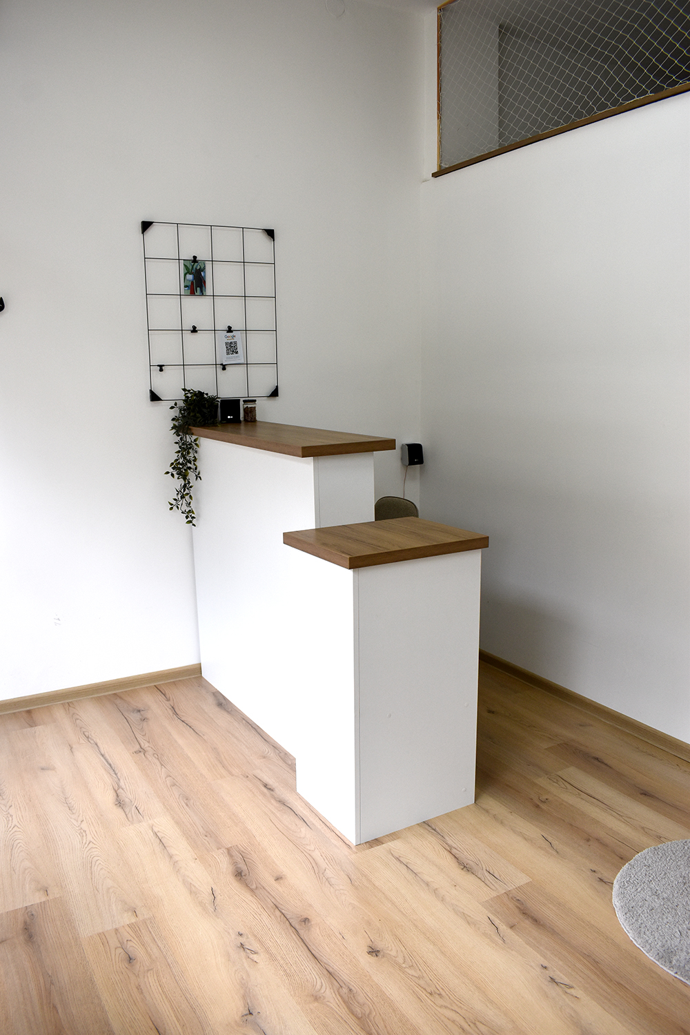 Cat Place hotel za macke prijemna prostorija 3